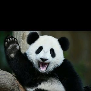 Meet your Posher, Ptolemy